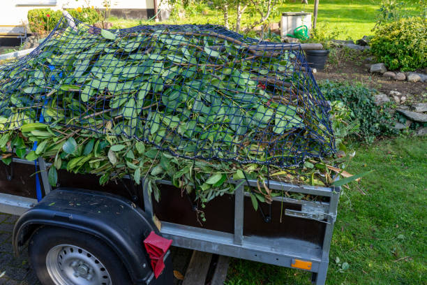 Professional Junk Removal Services in Berkeley, CA